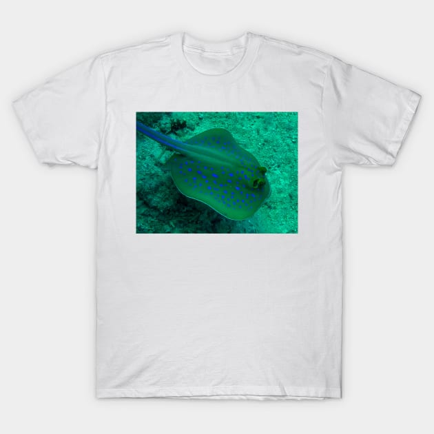 Blue spotted stingray T-Shirt by likbatonboot